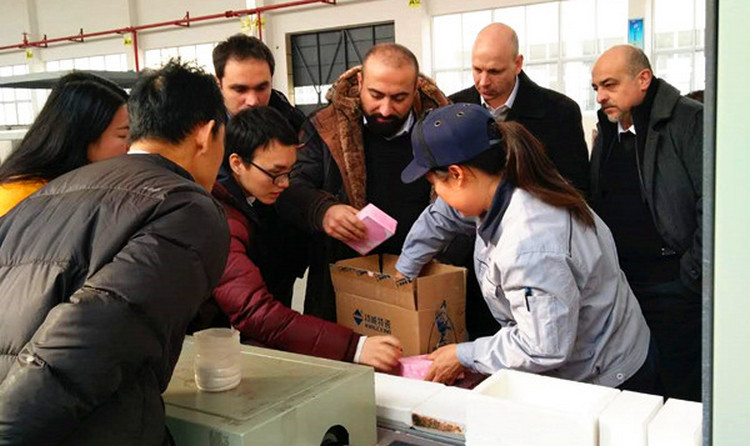 1xBET Signup(中国)-官方网站